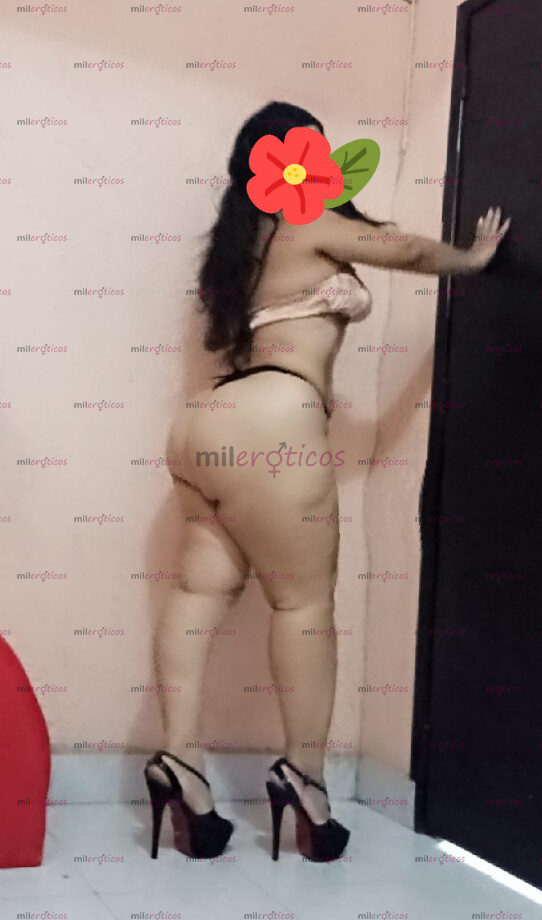 FOTOS DE AGENDA CHICA SEXI GUERITA NALGONA PIERNUDA