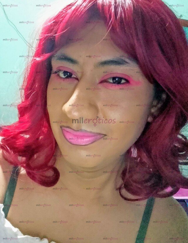 FOTOS DE PERFIL ACTUAL 2026 TV DE CLOSET PASIVA DE NICOLÁS ROMERO CONTACTAME