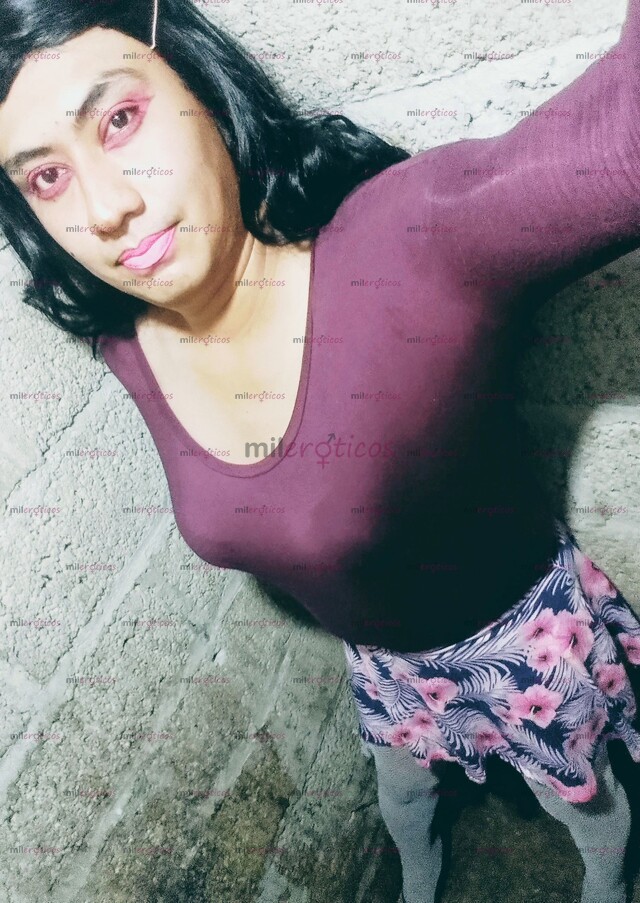 FOTOS DE PERFIL ACTUAL 2026 TV DE CLOSET PASIVA DE NICOLÁS ROMERO CONTACTAME