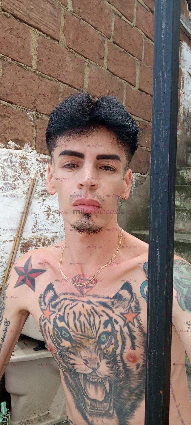 FOTOS DE FLACO VERGON ACTIVO LECHERO MORBOSO FETICHERO