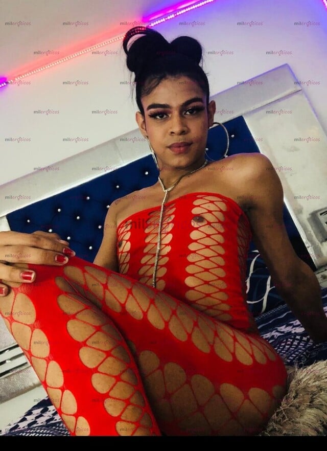 FOTOS DE POLLITA NINFOMANA DESEOSA DE VERGA SOLO HOMBRES SOLVENTES