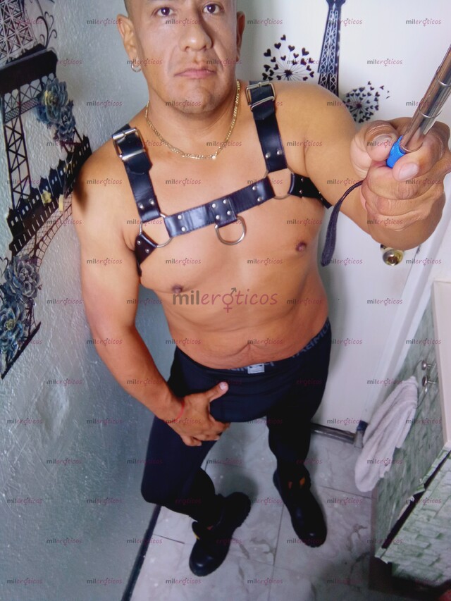 FOTOS DE ACTIVO DOMINANTE PARA PERRAS ESCLAVOS PASIVAS CHELERAS