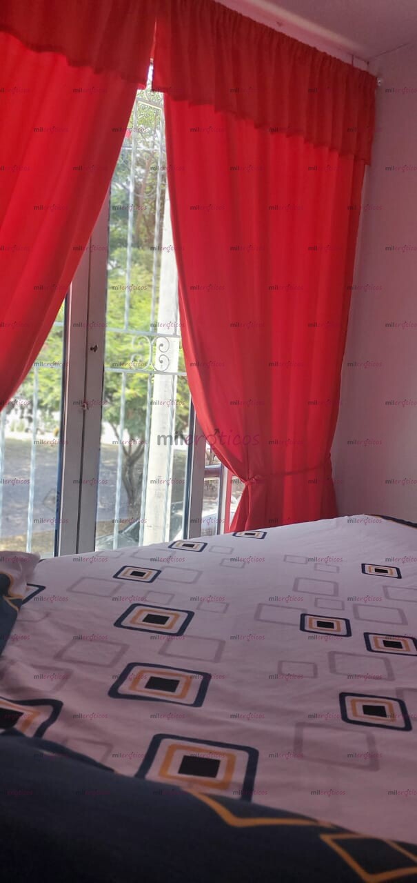 FOTOS DE APARTAESTUDIOS DISPONIBLES EXCLUSIVOS PARA DAMAS