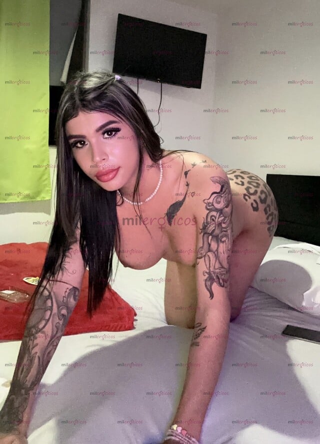 FOTOS DE UNA PERRA SORPRENDENTE ES LO QUE BUSCAS VEN NO TE LO PIERDAS BB CON UNA GRAN DOT