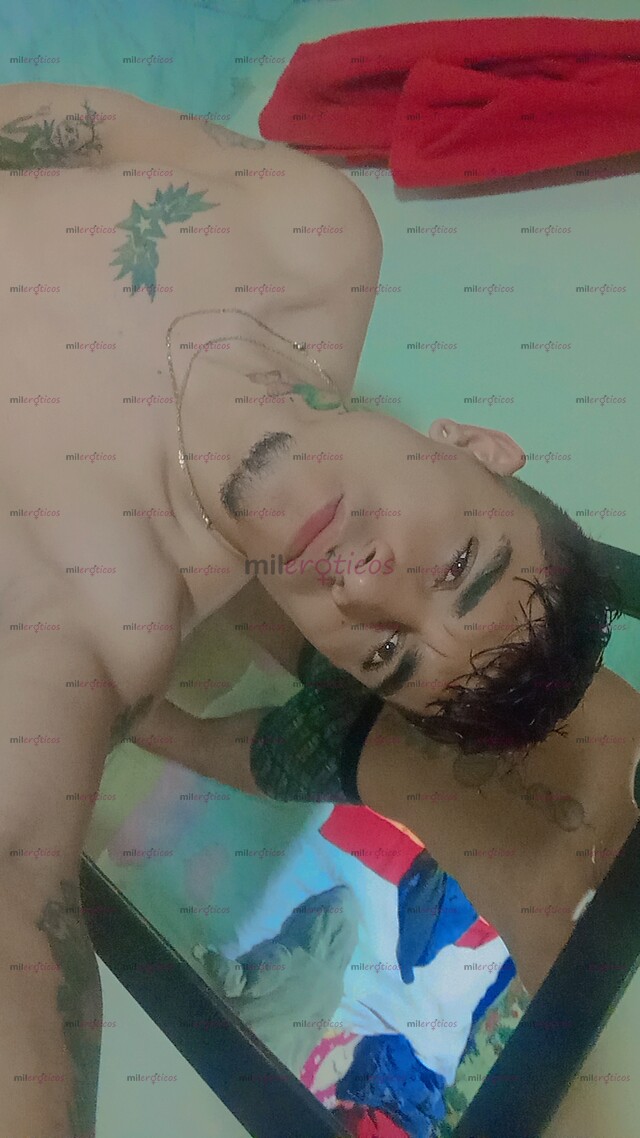 FOTOS DE SOLO USO ESTE NÚMERO 3125339630 PARA MAYOR INFORMACIÓN