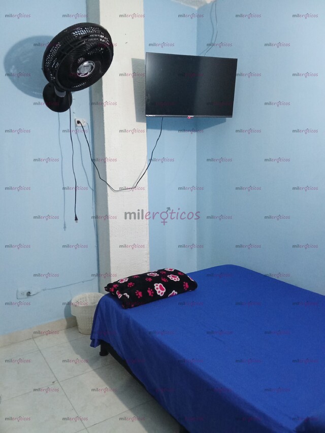 FOTOS DE ALQUILO HABITACIONES EN ARMENIA SOLO CHICAS