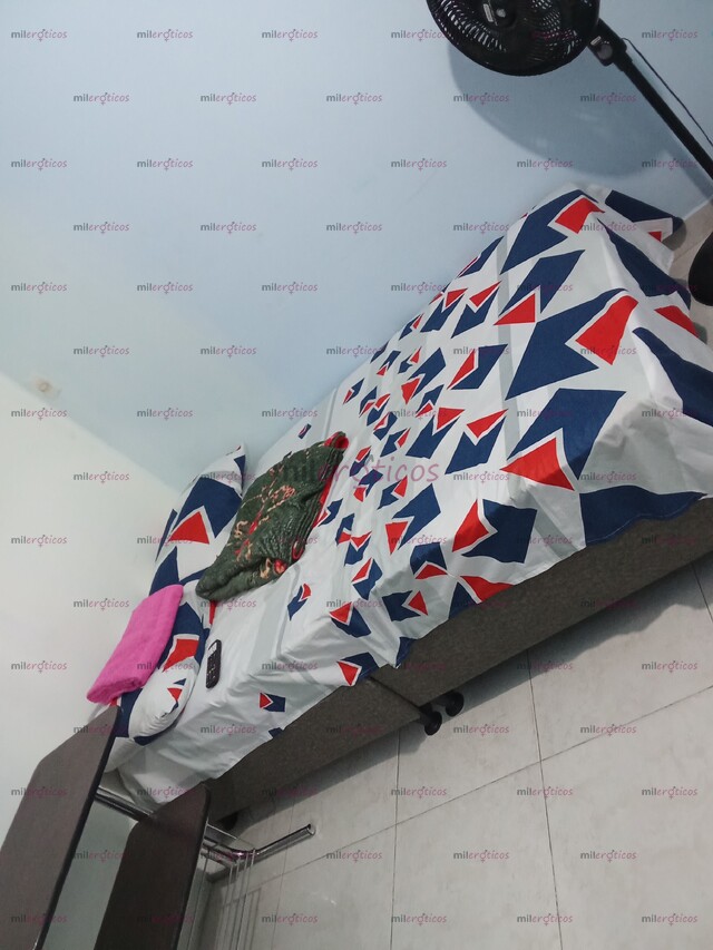 FOTOS DE ALQUILO HABITACIONES EN ARMENIA SOLO CHICAS