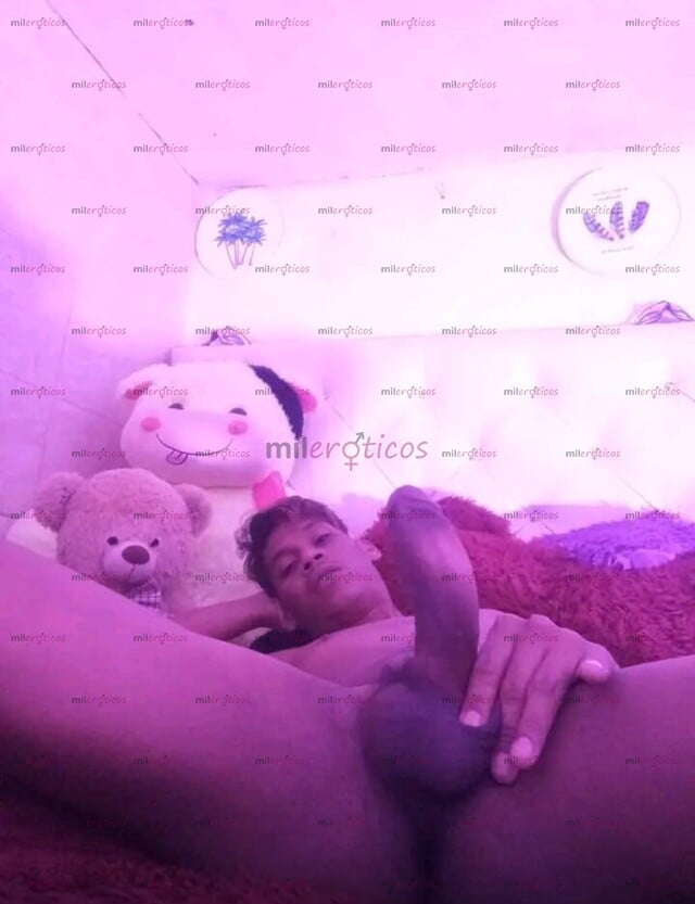 FOTOS DE VERGON 23CM Y VERGON 21 CM LECHERO VENEZOLANO VERSATIL PASIVO Y ACTIVO