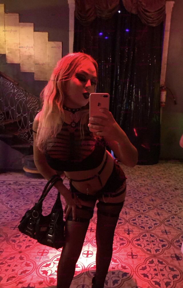 FOTOS DE TE GUSTA COLECCIONAR EL CONTENIDO DE LAS MEJORES TRANS?PROMO $300 POR 7.FOTOS $$