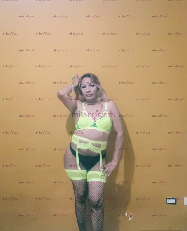 FOTOS DE CHICA TRANS, GUAPA Y COMPLACIENTE, VEN Y PASEMOS UN RATO RICO Y AGRADABLE..