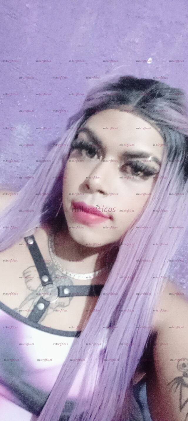 FOTOS DE PASEOS DEL MAR ACEPTO PAGO CON TARJETA TRANSFERENCIAS EFECTIVO DÓLARES