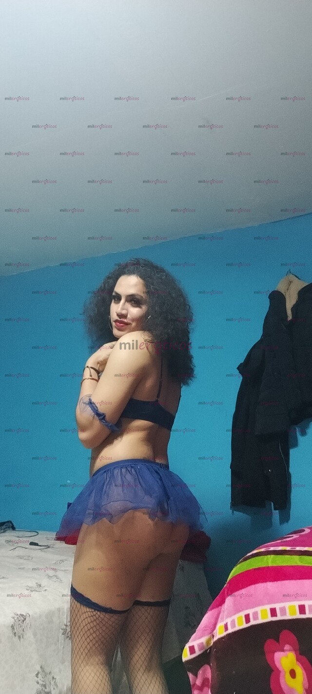 FOTOS DE LINDA CAMPECHANITA TRANS JOVEN.CON EL MEJOR TRATO DE NOVIO (CON LUGAR )