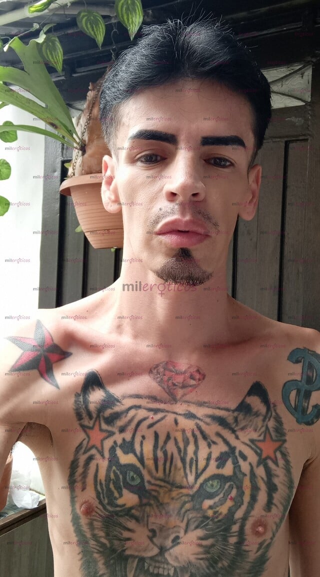FOTOS DE FLACO VERGON ACTIVO SERIO Y RESERVADO TATUADO FETICHERO