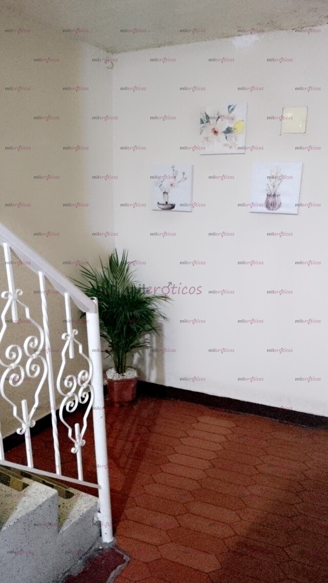 FOTOS DE SITIO DE TRABAJO EN NEIVA CASA BN UBICADA PARA SCORT