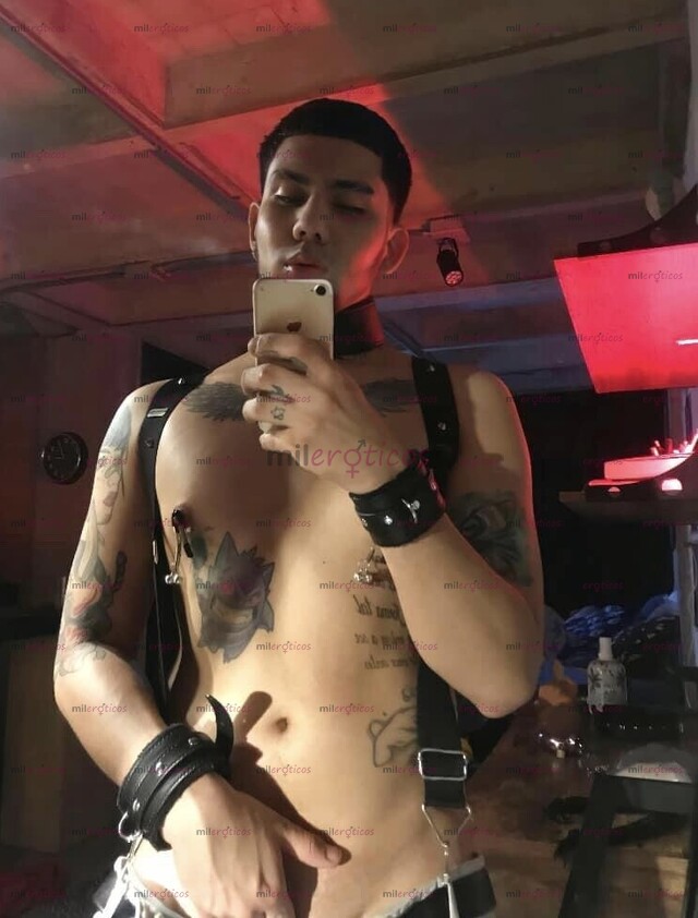 FOTOS DE VERSÁTIL TATUADO 21CM LECHERO COMPLACIENTE !!