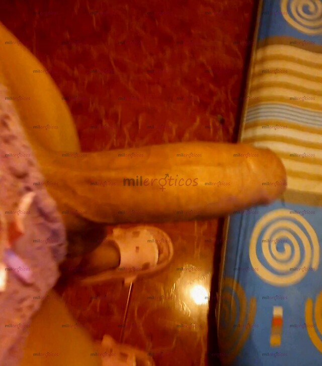 FOTOS DE TE REVIENTO TU CULO A VERGA QUIERES UNA TRANS Q TE DE LO Q TE GUSTA BEBE