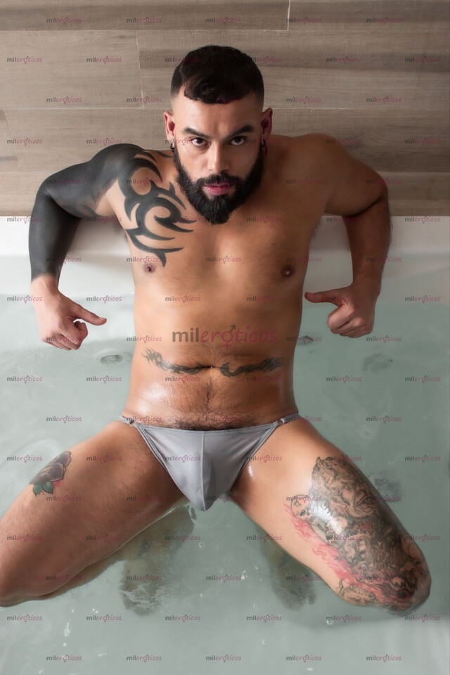 FOTOS DE PACO GERTE 100 % ACTIVO, MACHO BARBÓN VERGON XL 8116022755