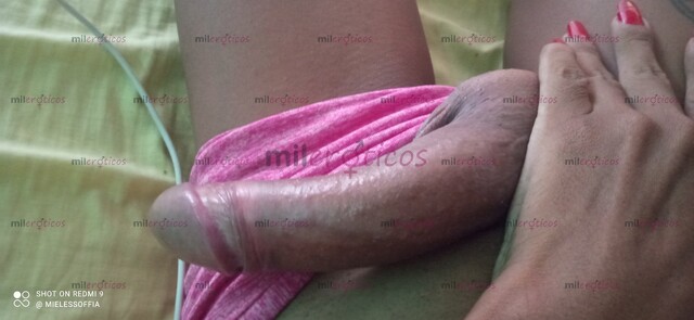 FOTOS DE CHIMBA DE FLACA 22CM NUEVA EN PAILITAS22CM