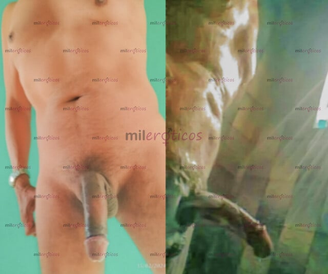FOTOS DE ENCUENTROS SEXUALES EXCLUSIVOS PARA DAMAS ( NO HOMBRES, NO TRANS, NO TRAVESTIS)