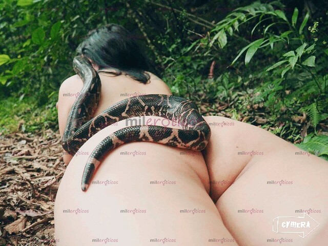 FOTOS DE PROMO FINDE SEMANA. MEDIA HORA. 700 Y LA HORA. 1100 Y LA HORA. EN. ..