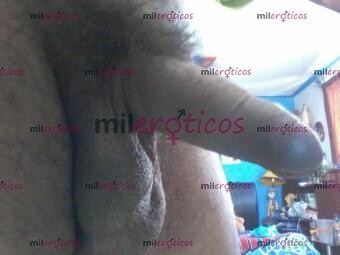 FOTOS DE VERGA PARA. CULOS. EXIGENTES Y AGUANTADORES