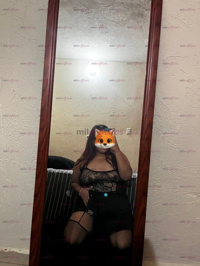 FOTOS DE PERRITA DISPUESTA A COMPLACER, ACOMPAÑAR Y HACER MUCHAS TRAVESURAS