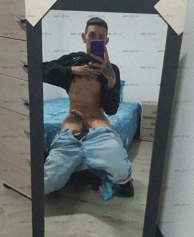 FOTOS DE POLLO PAISA VERGON LECHERO VERSATIL RECIEN LLEGADO