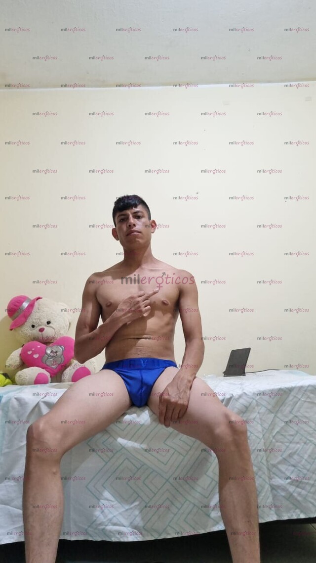 FOTOS DE LLEGO CAMI DOTADO VERSÁTIL CON CONTENIDO ÚNICO Y SERVICIO