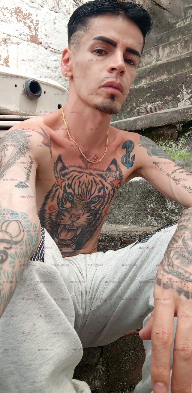 FOTOS DE FLACO TATUADO BLANCO MORBOSO SERIO ACTIVO