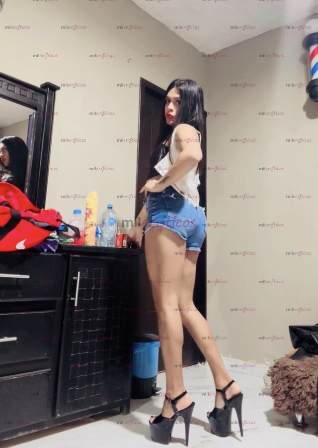 FOTOS DE TRANS CON VERGA ERECTA, CON LECHE ACTIVA OH PASIVA , TÚ ELIGES PRUÉBAME VOLVERÁS