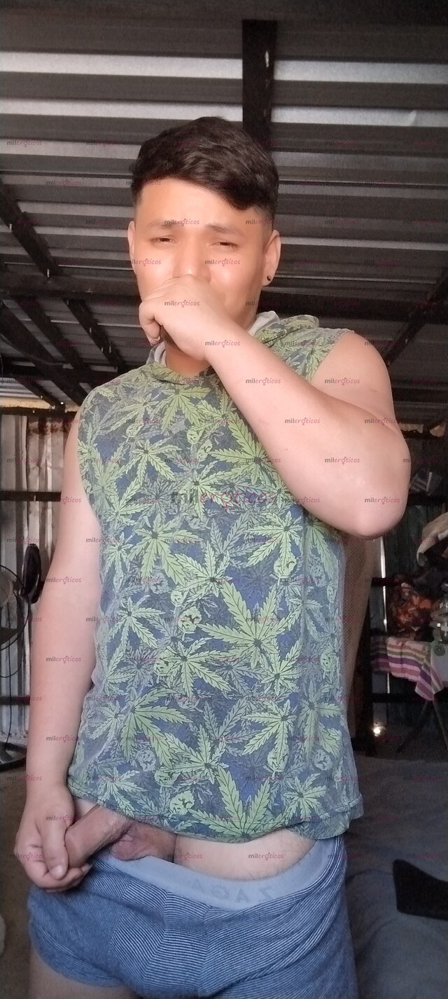 FOTOS DE NIÑO GÜERITO SINALOENSE VERGON ACTIVO LECHERO