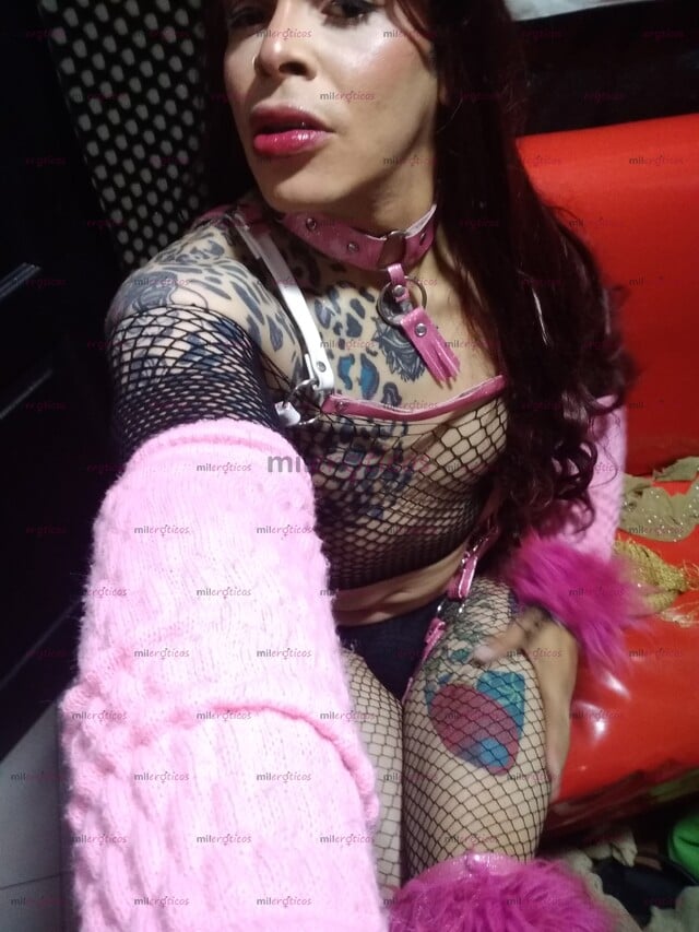 FOTOS DE HOLA UN GUSTO SALUDARTE CHARLOTTE VERSÁTIL PAS TALMENTE DISCRETA TOTAL SEGURIDAD
