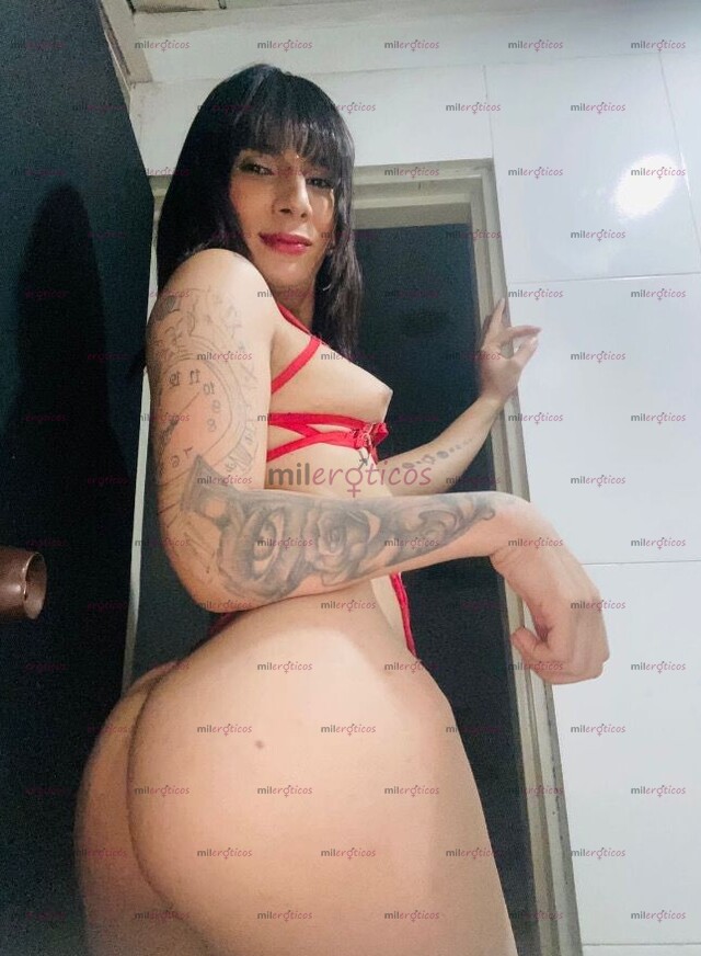 FOTOS DE CANSADO DE LO MISMO? TRÍO DE CHICAS VERSÁTIL AMANTES A LA DIVERSIÓN SIN LÍMITES