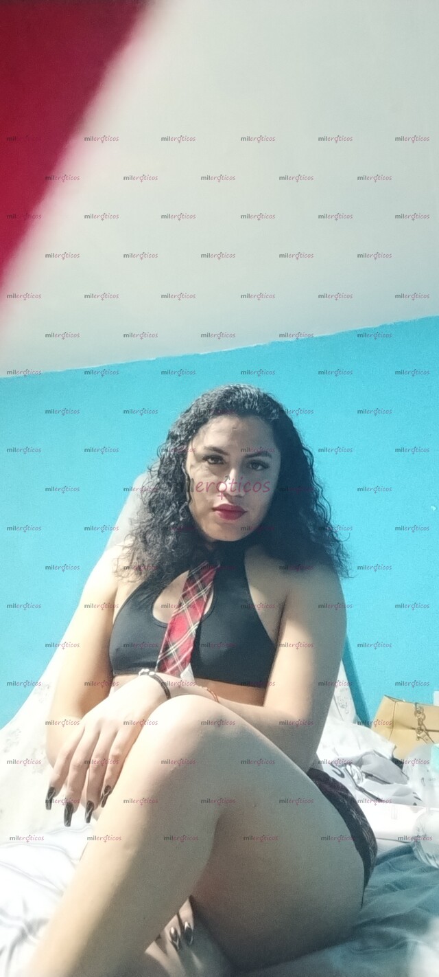 FOTOS DE LINDA CAMPECHANITA TRANS JOVEN.CON EL MEJOR TRATO DE NOVIO (CON LUGAR )