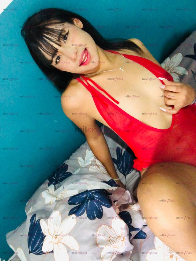 FOTOS DE AILYN UNA CHICA NUEVA POCO DIAS EN TU CIUDA ME ENCANTA EL SEXO SOY CARIÑOSA