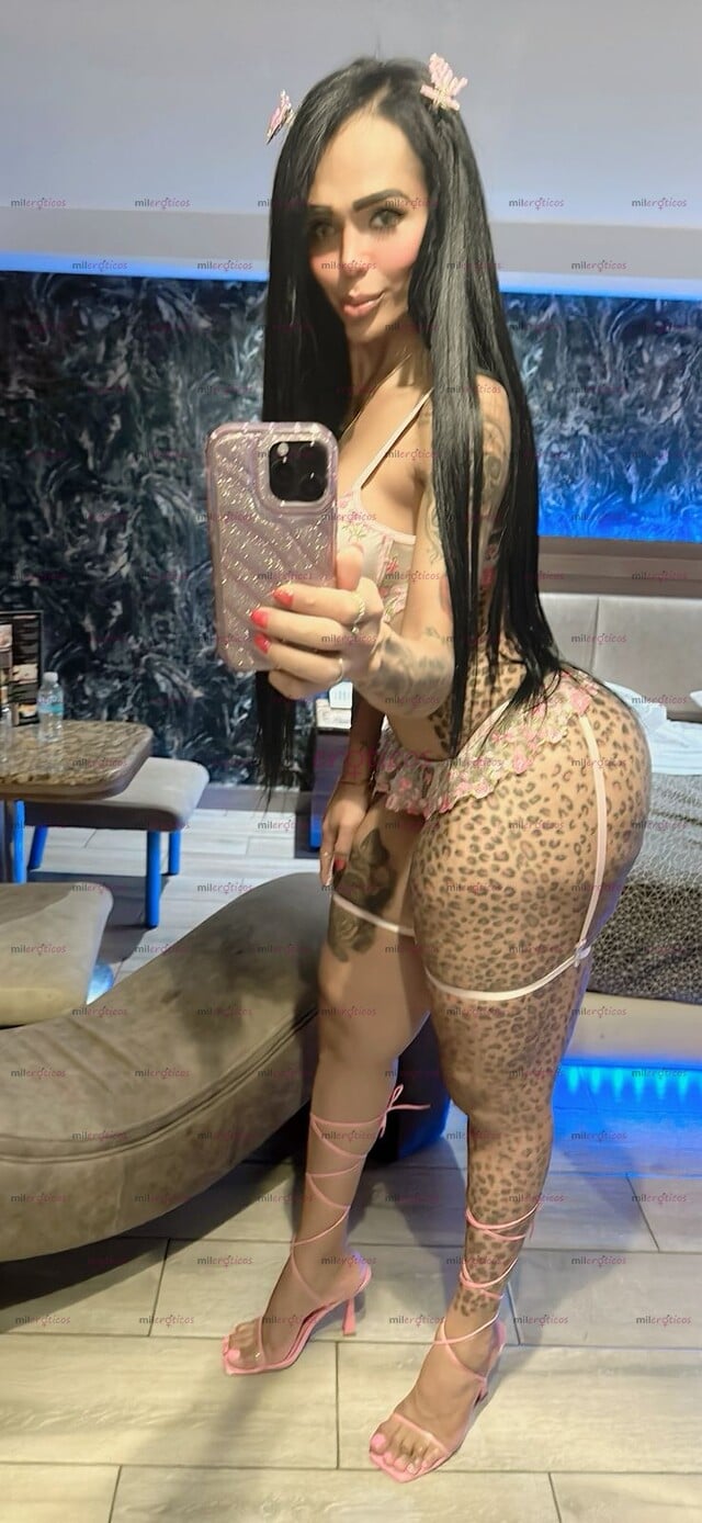 FOTOS DE FIESTERA Y CACHONDA SOLO HOY EN CORDOBA AGENDA TU CITA EXUBERANTE TRANSEXUAL
