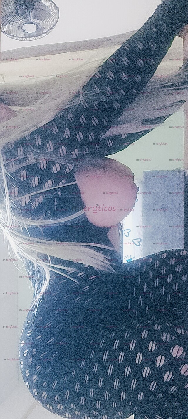 FOTOS DE LINDA SANTANDERIANA.. ZARINA POR PRIMERA VEZ EN TU CIUDAD