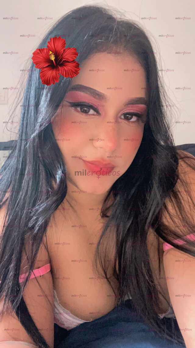 FOTOS DE HOLA, LINDA COSTEÑA EN BELLO, SOLO DOMICILIOS