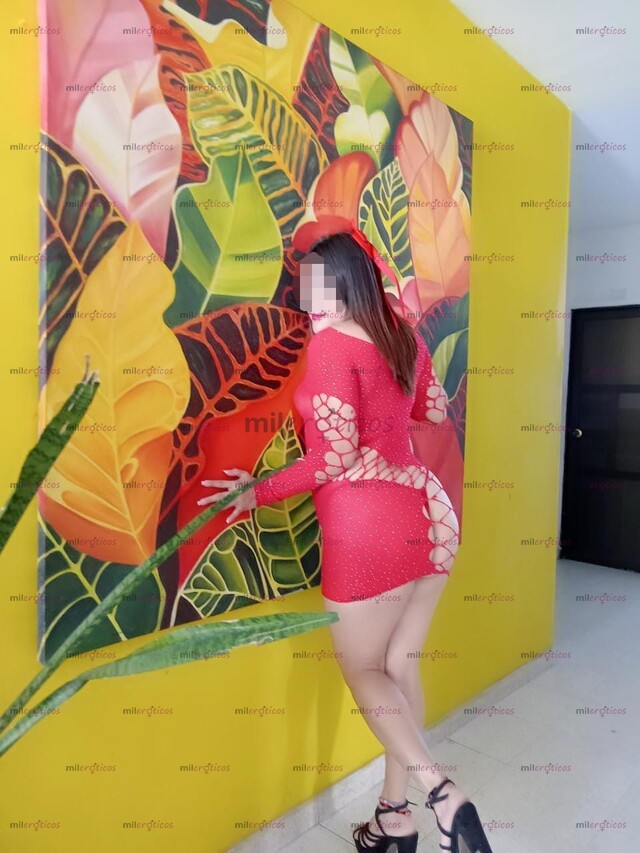 FOTOS DE MI AMOR RICO TRATO DE NOVIOS CON ORAL VAGINAL Y ANAL EN CARTAGENA