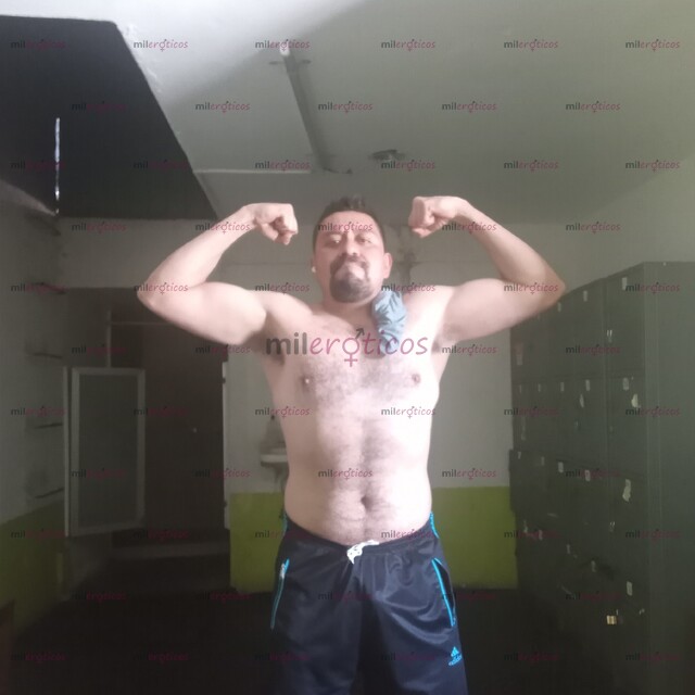 FOTOS DE SOY CHICO GORDIBUENO, PELUDO, AMABLE CONTÁCTAME