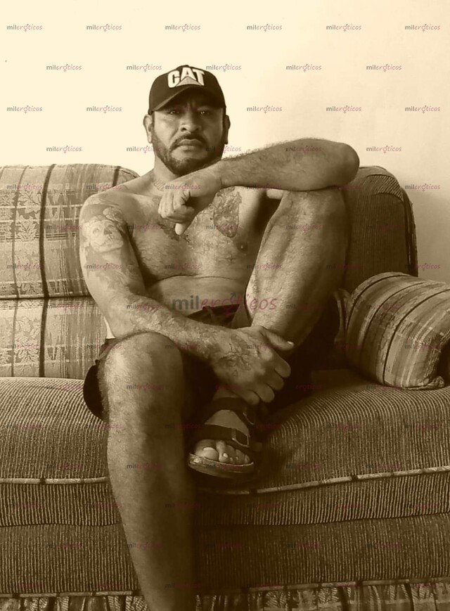 FOTOS DE SEMENTAL MACHO BARBÓN COGELON A TUS ÓRDENES