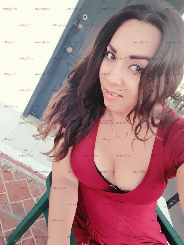 FOTOS DE HERMOSA CONEJITA CON UNA ZANAHORIA DE 22 CM VEN Y CÓMETELA TODA