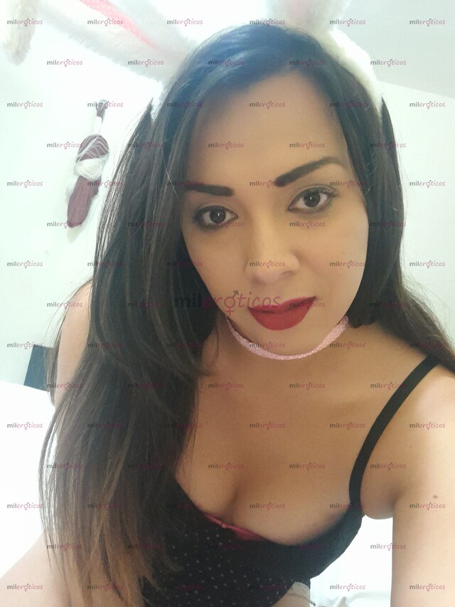 FOTOS DE HERMOSA CONEJITA CON UNA ZANAHORIA DE 22 CM VEN Y CÓMETELA TODA