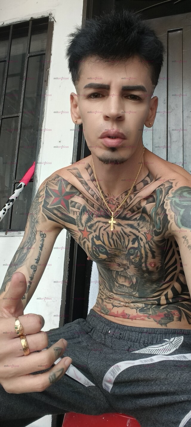 FOTOS DE FLACO BLANCO ACTIVO MACHITO VERGON TATUADO