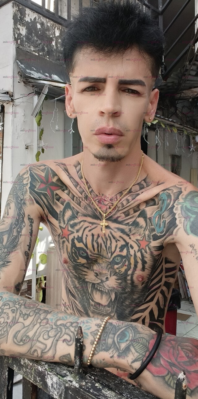 FOTOS DE TATUADO BLANCO FLACO SERIO RESERVADO LECHERO