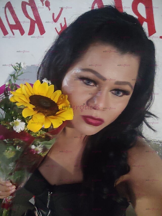 FOTOS DE CHICA TRANS EN TU CIUDAD LISTA PARA SATISFACER TUS FANTASÍAS