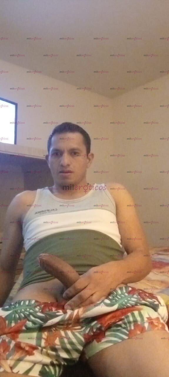FOTOS DE MACHO VERGON COSTEÑO LECHERO DISPONIBLE PARA PREÑARTE