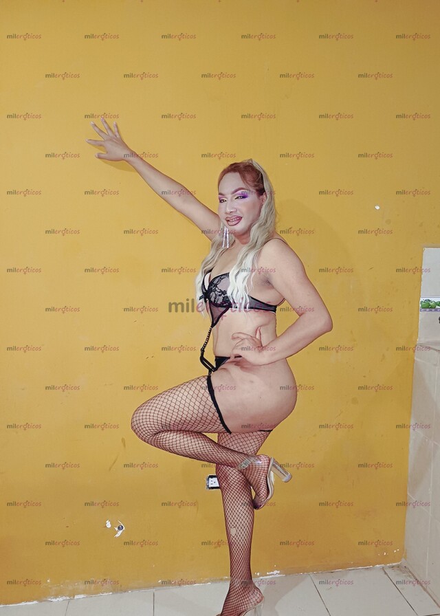 FOTOS DE CHICA TRANS , GUAPA Y MUY SEXOSA ...NO TE QUEDES CON LAS GANAS Y VEN A DISFRUTAR