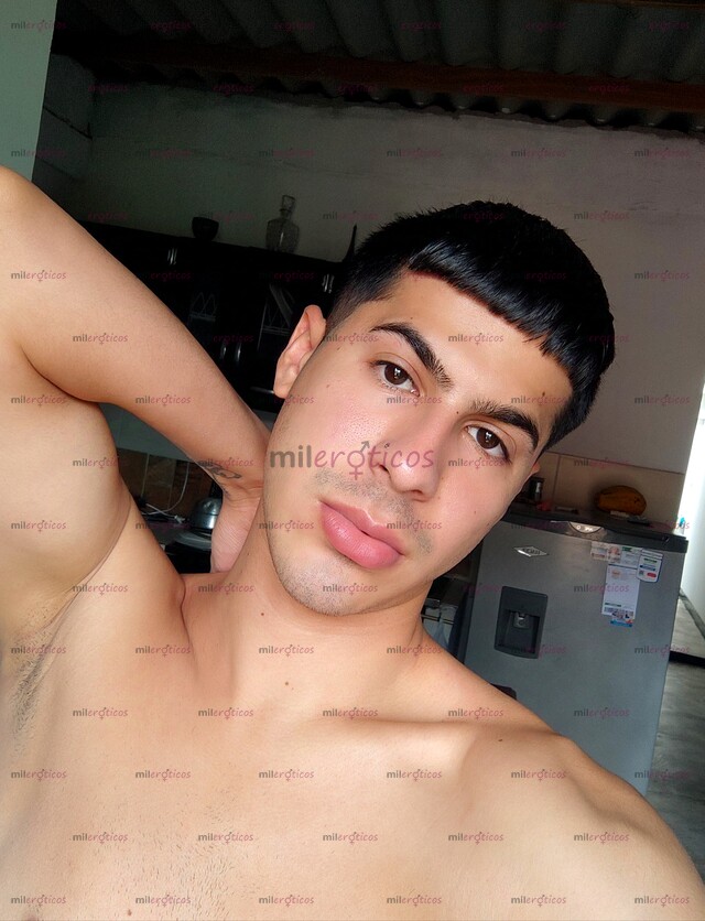 FOTOS DE POLLO VERSÁTIL VENEZOLANO, ARRECHO Y LECHERO ÚLTIMO DÍA EN LA CIUDAD