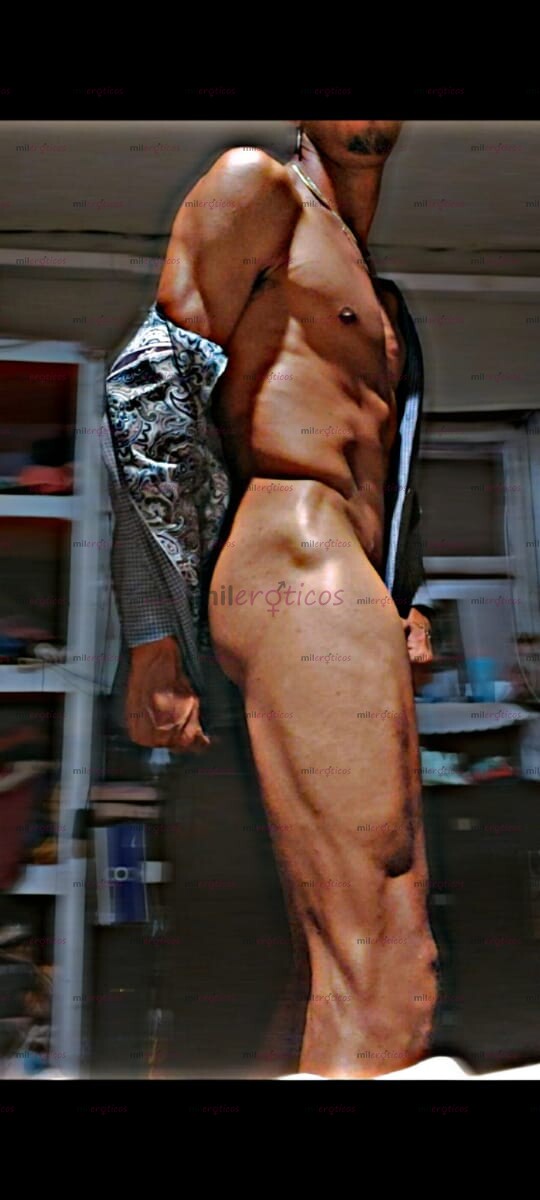 FOTOS DE LLEGO EL CABALLO NEGRO LISTO PARA COMPLACER TU NOCHE